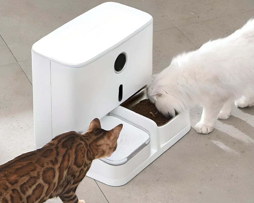 automatic cat feeder with camera